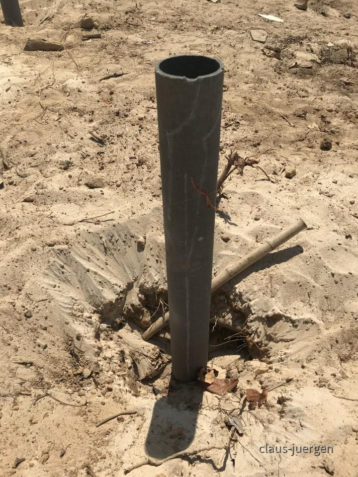 ?random=0&maxWidth=0&embedded=0&thumbnail=large