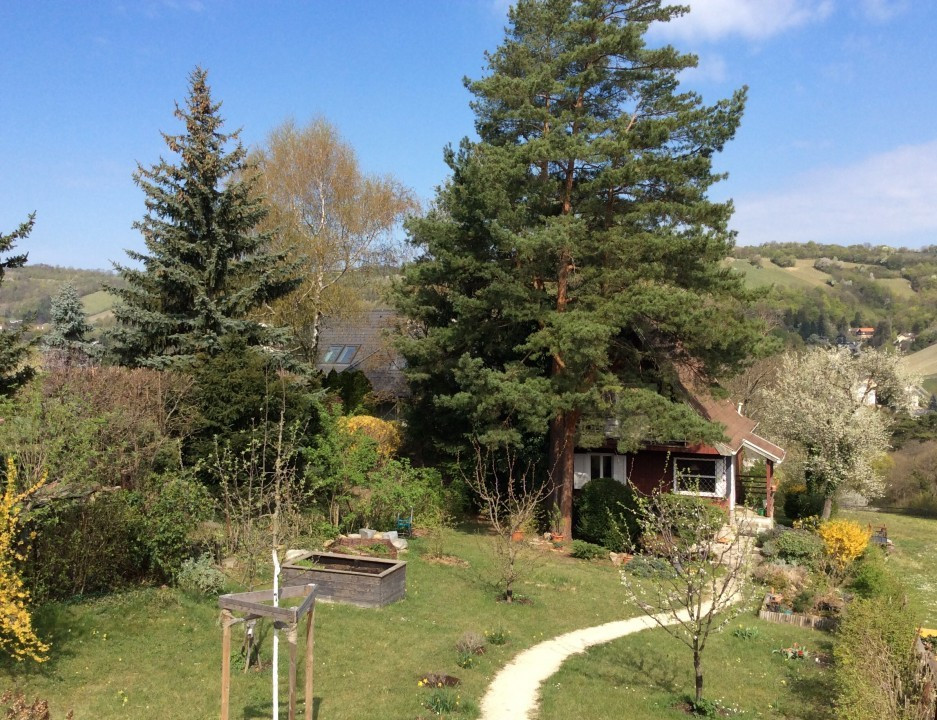 Mein Garten