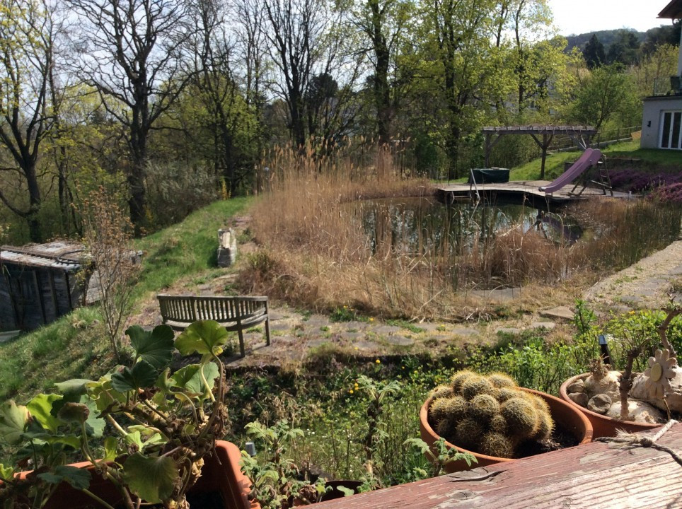 Mein Garten