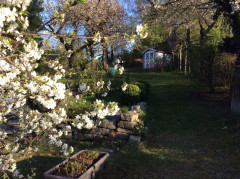 Mein Garten