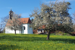 Pfaffing Mitte April