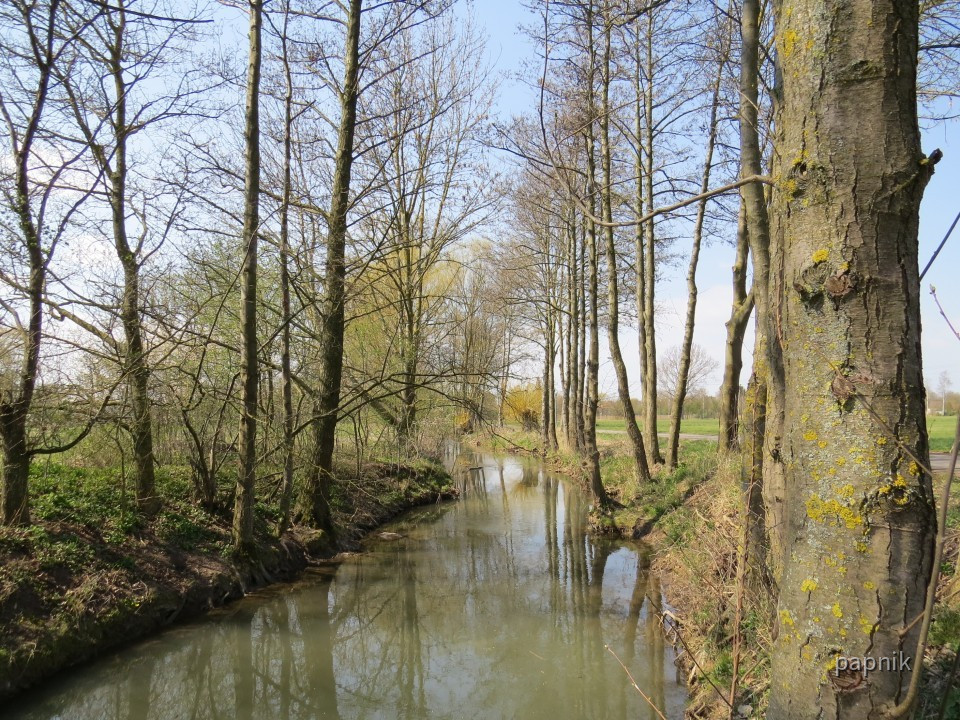 Fränkische Saale