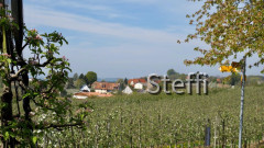 IMG-20200416-WA0015
