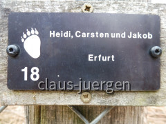 Kuterevo Bären