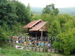 Kuterevo Bären