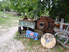 Kuterevo Bären