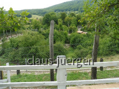 Kuterevo (51)