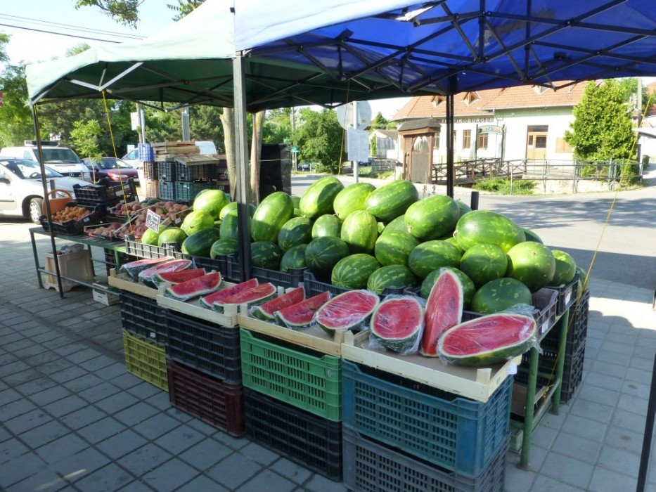Budakeszi, Markt, Melonen