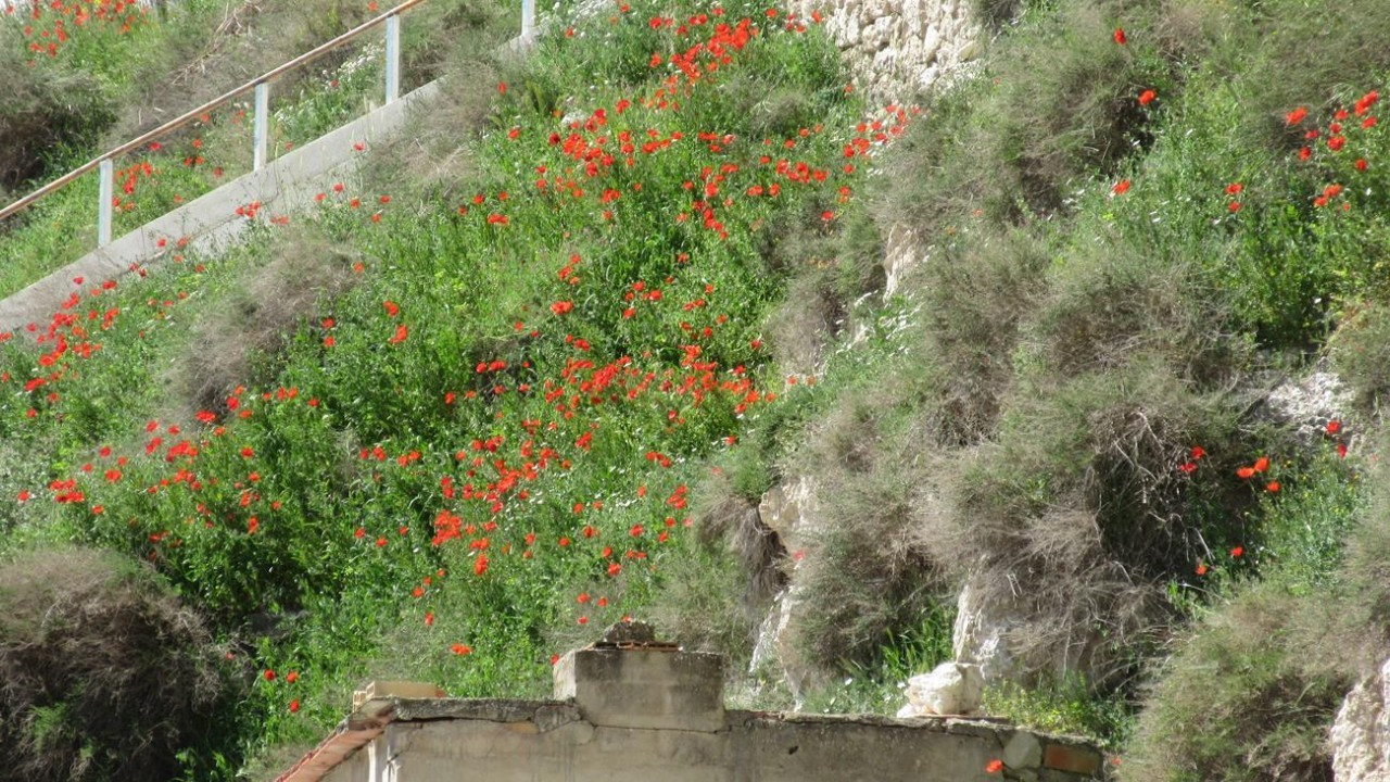 Alcalá del Júcar_06