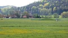 20.4.2020