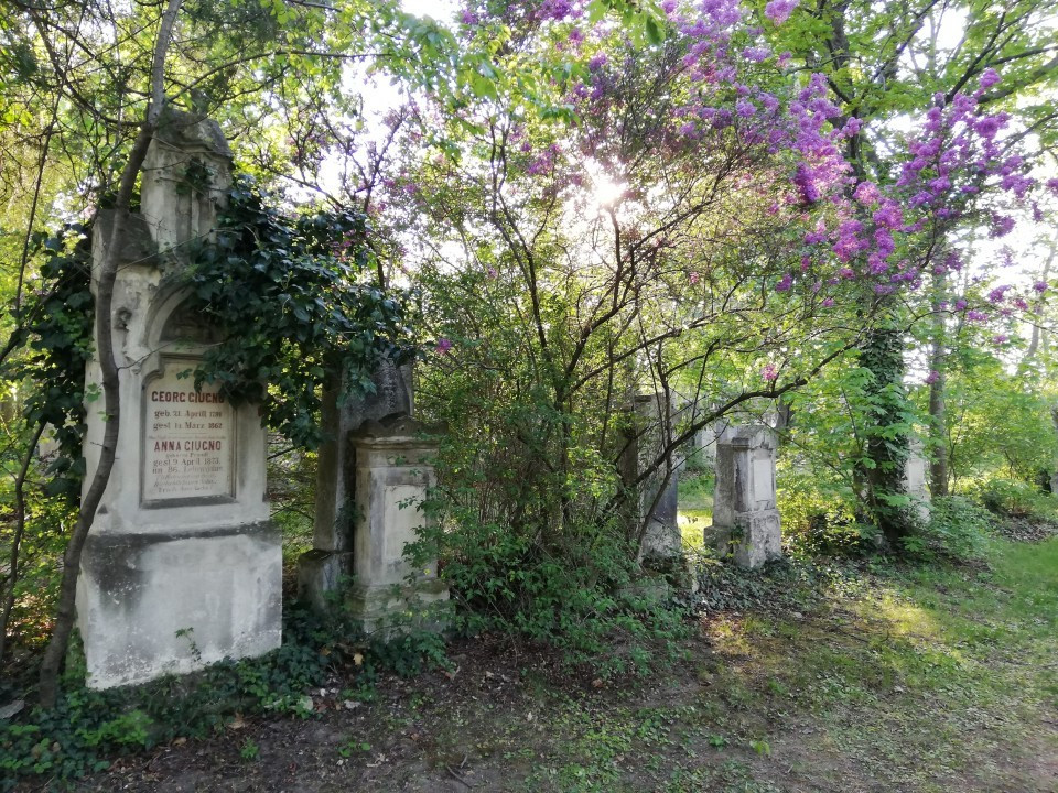 Der Biedermeierfriedhof St. Marx