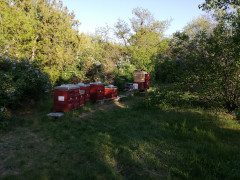 Der Biedermeierfriedhof St. Marx