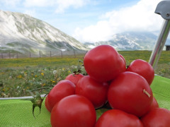 Gran Sasso