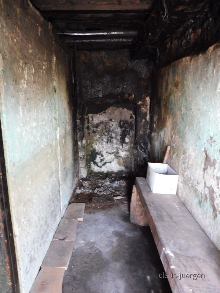 ?random=0&maxWidth=0&embedded=0&thumbnail=large