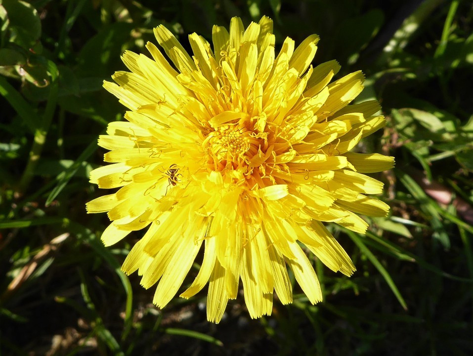 ?random=0&maxWidth=0&embedded=0#imageAnker_35695