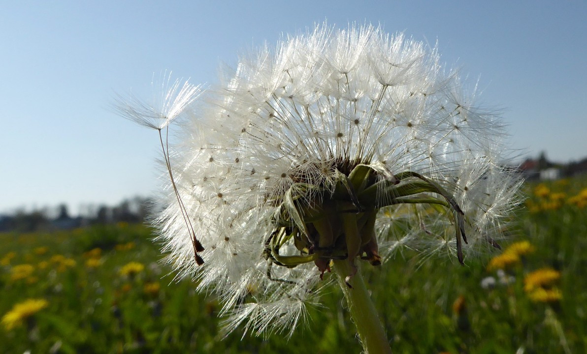 ?random=0&maxWidth=0&embedded=0#imageAnker_35698