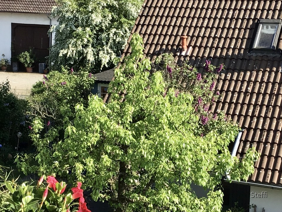 2AFD0D7F-7000-4EF5-AD08-E69AE088564B