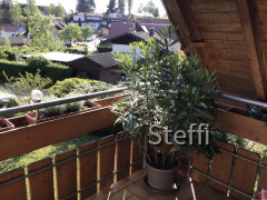 0D905714-5062-44D0-A451-877783EDB6E1