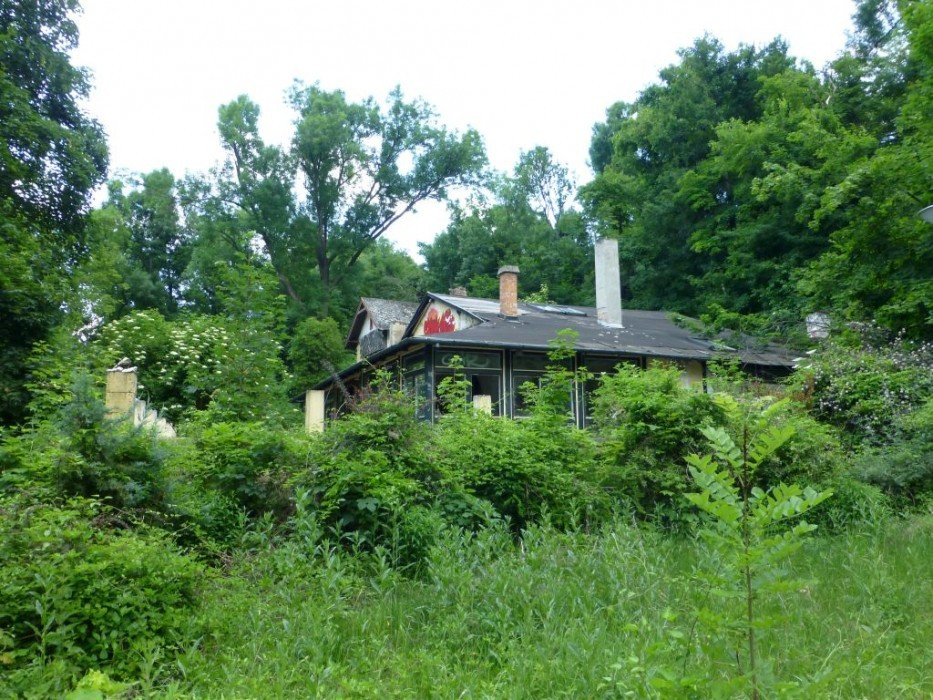 Schweinekopf