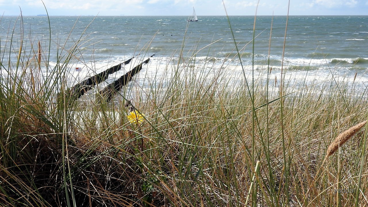 Zeeland (NL)