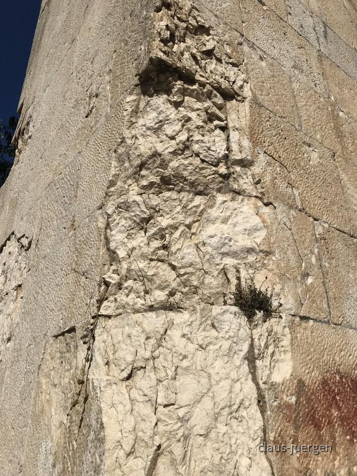 ?random=0&maxWidth=0&embedded=0&thumbnail=large