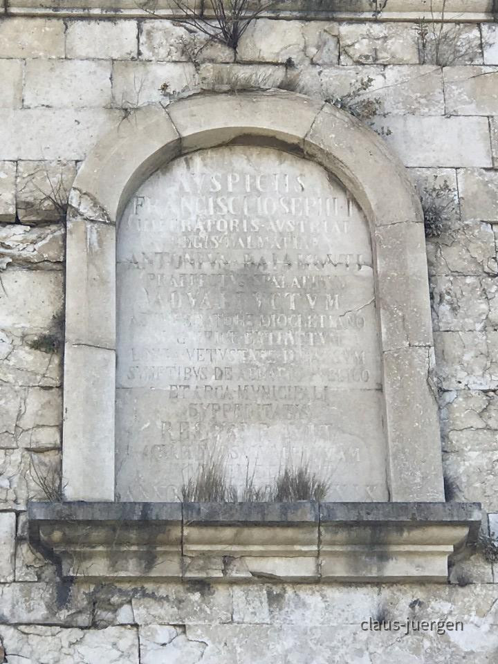 ?random=0&maxWidth=0&embedded=0&thumbnail=large