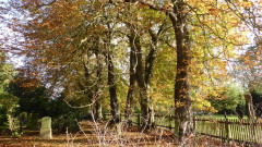 Landow Friedhof (11)