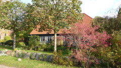 rund um Landow (4)