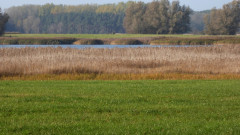 rund um Landow (7)