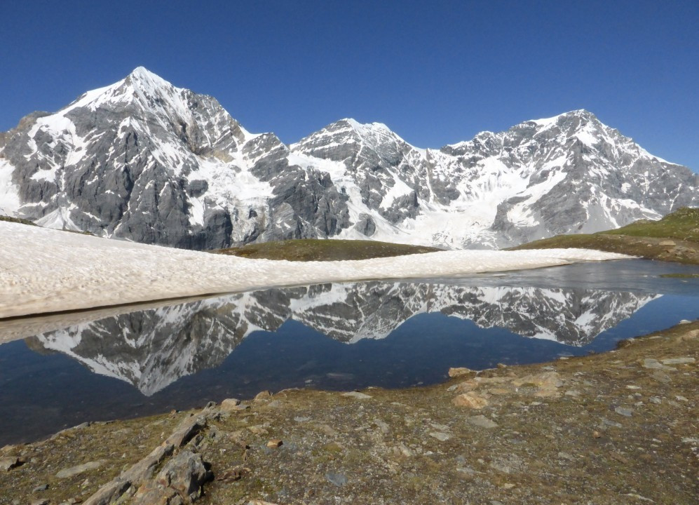 Ortlerblick