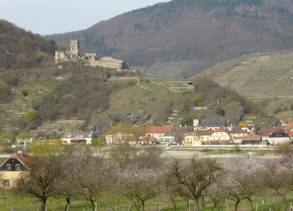P1060836