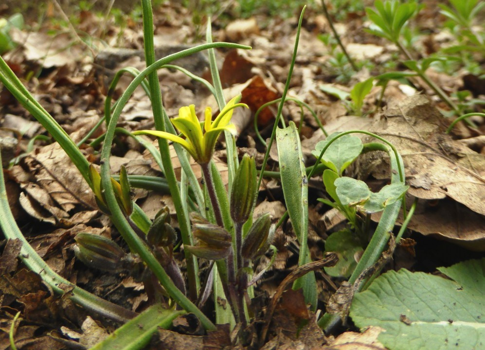 P1120907