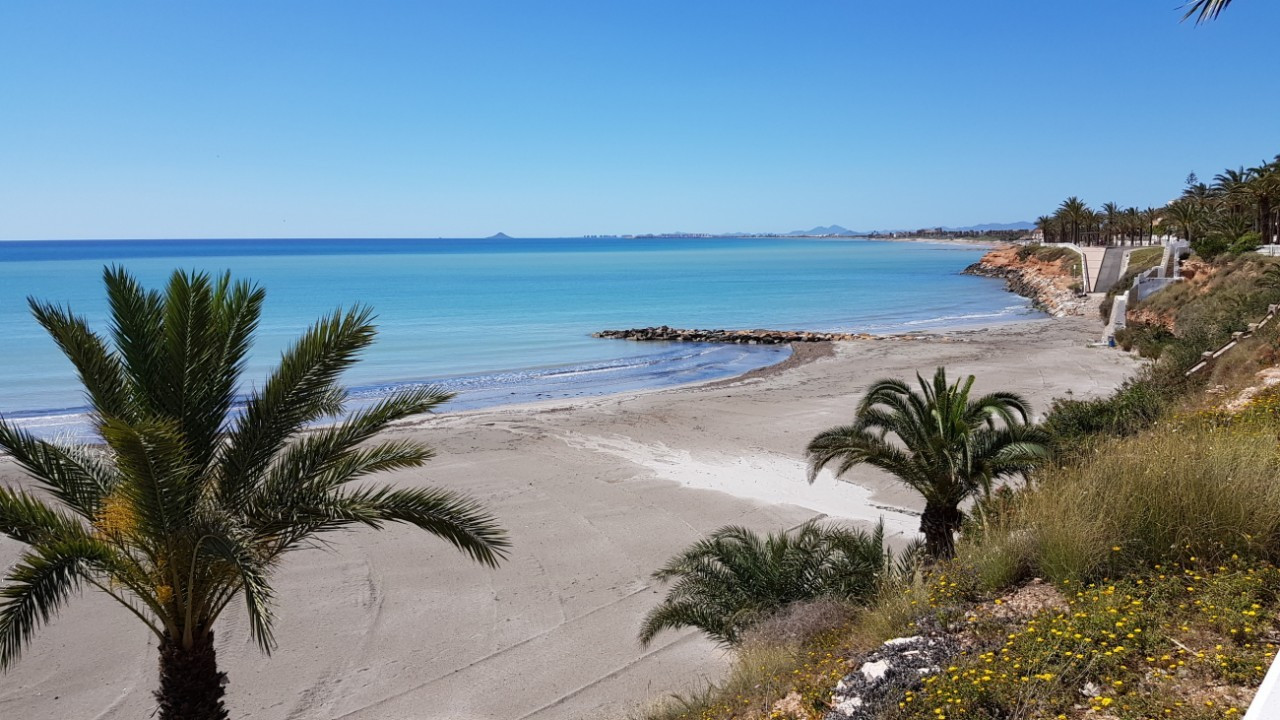 Paseo12