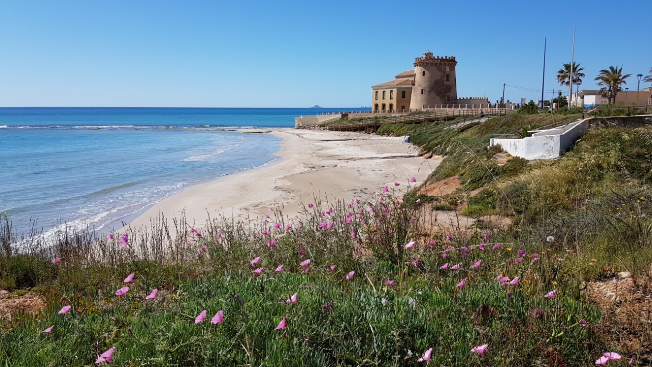 ?random=0&maxWidth=0&embedded=0&thumbnail=medium