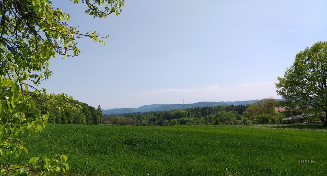 Blumen