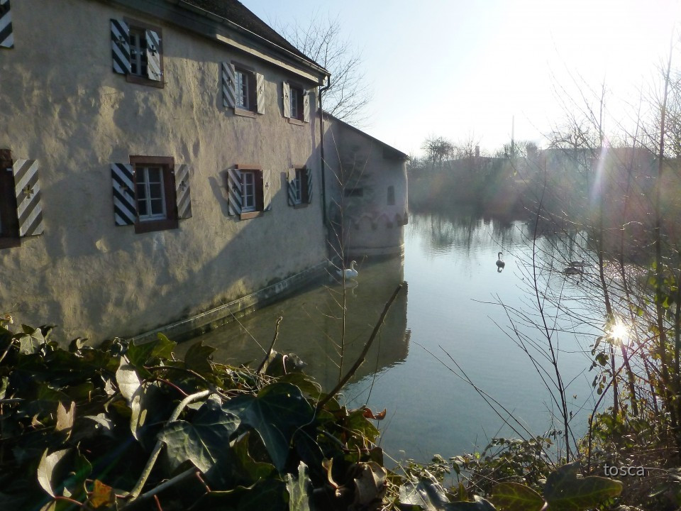 Schloss Beuggen