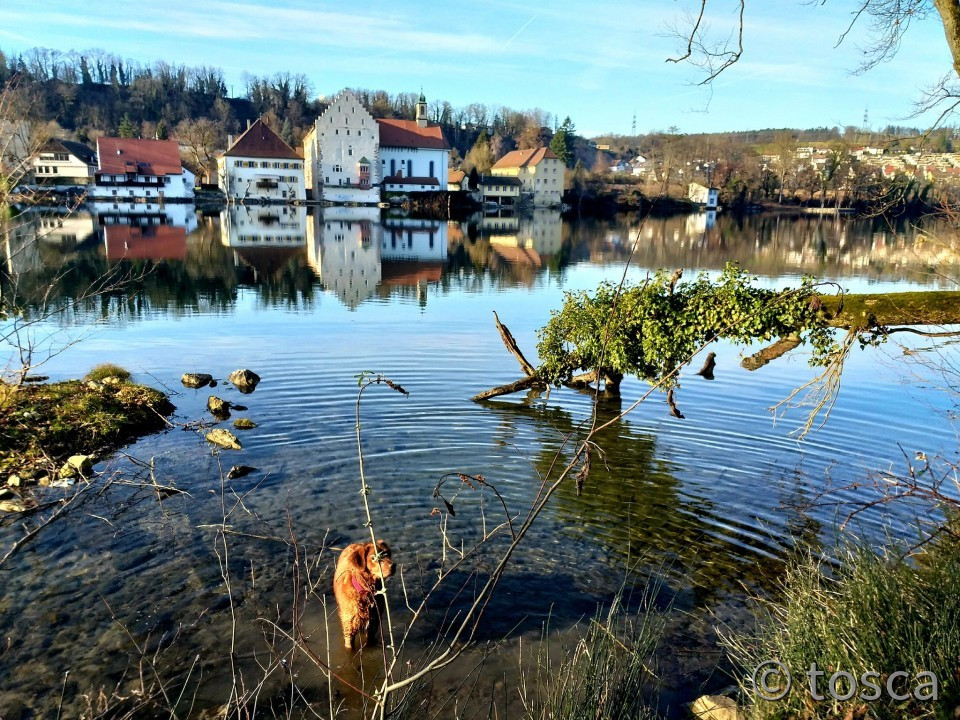 Schloss Beuggen