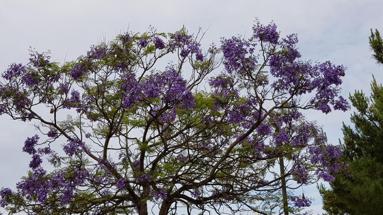 Paseo3_19