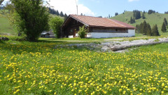 Sudelfeld