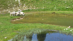 Sudelfeld