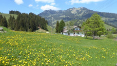 Sudelfeld