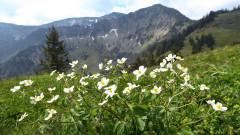 Sudelfeld
