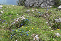 Sudelfeld