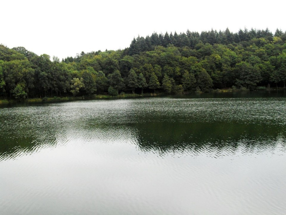 03 Holzmaar