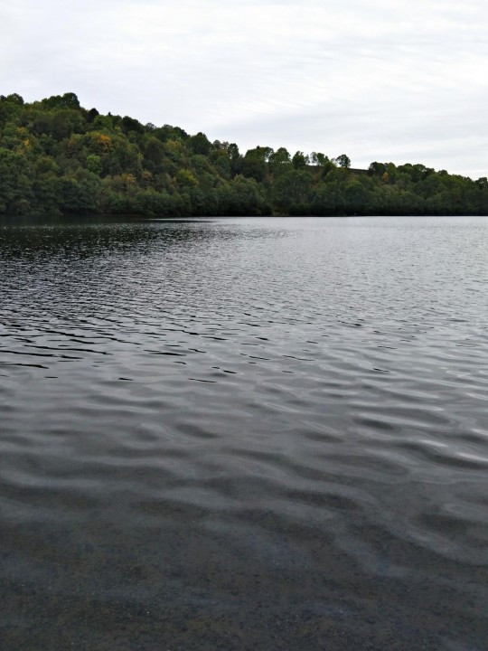 15 Dauner Maare Weinfelder Maar