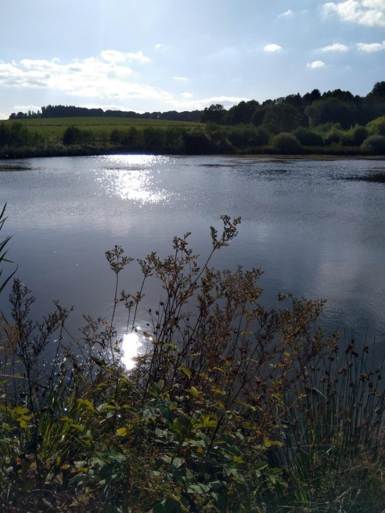 23 Eichholzmaar