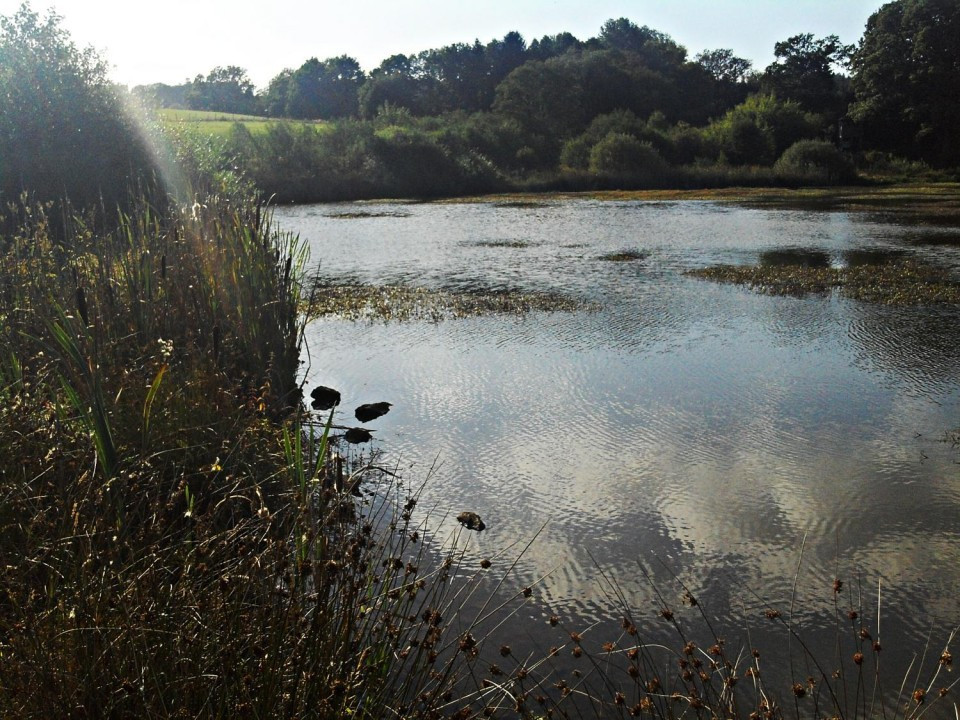 28 Eichholzmaar
