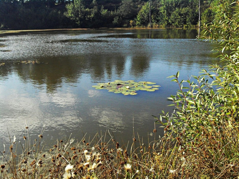 32 Eichholzmaar