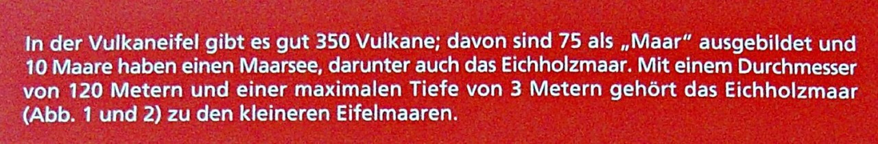 35 Eichholzmaar