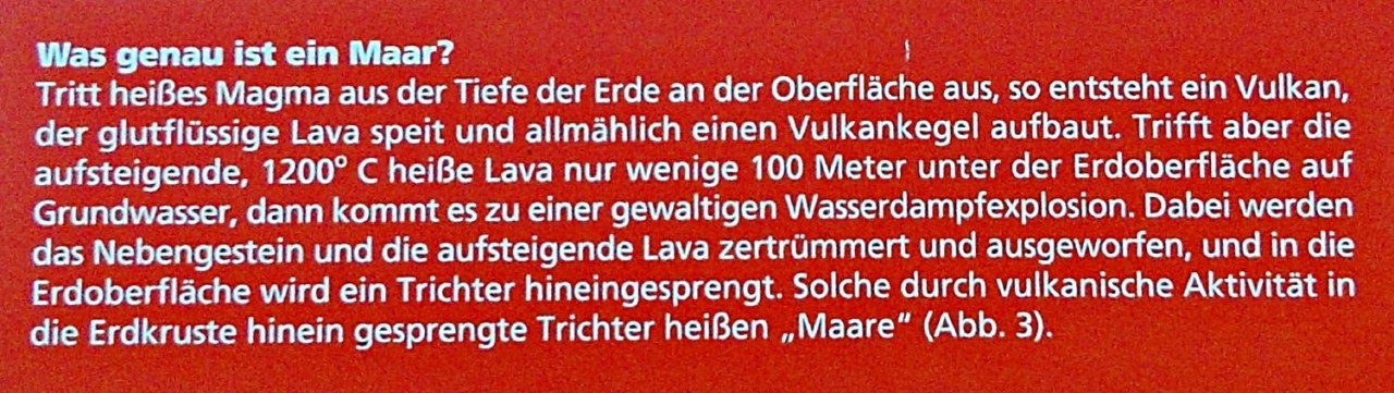 36 Eichholzmaar